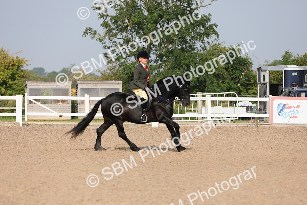 SBM_10180 - Class 302 Ridden M&M -Large Breeds