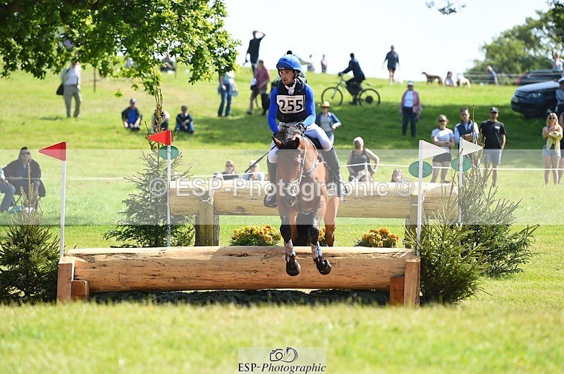 230527-102540-08548 - 255-HI_MR_HENRY-Henry_Hobby-XC