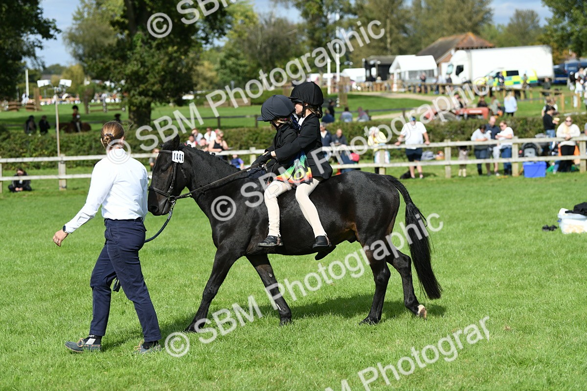 SBM_46969 - S12 - Family Horse & Pony