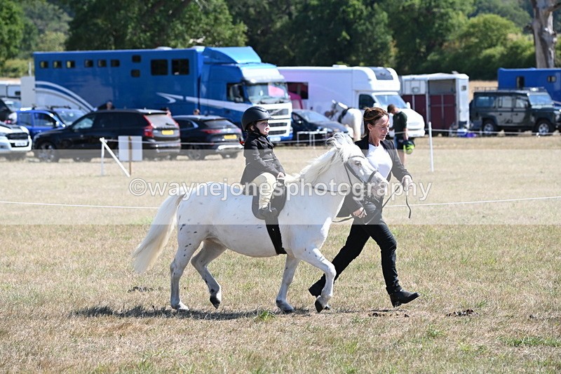 WJ6_7840 - Class 36 Lead Rein