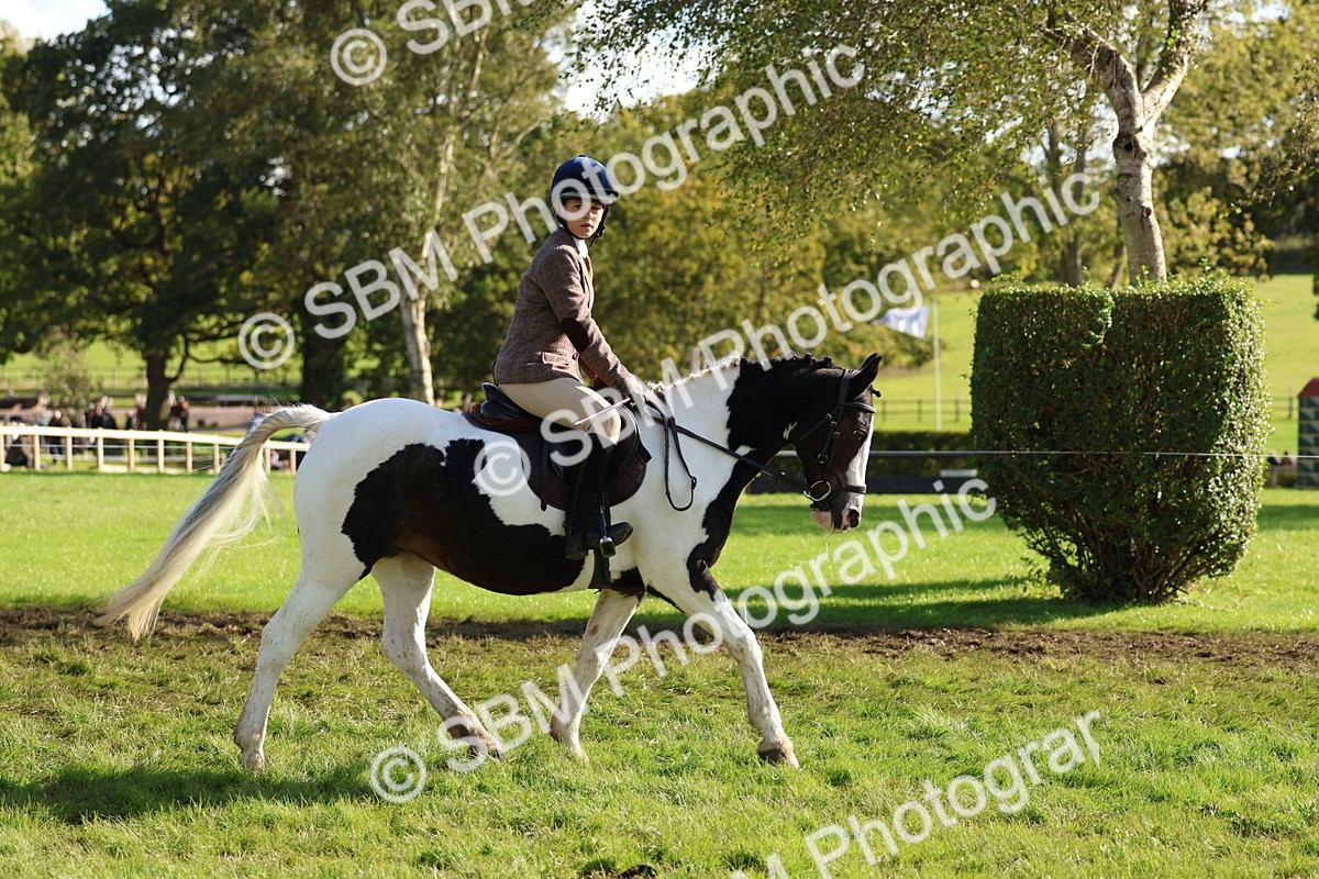 SBM_52370 - S13 - Pony Club Pony