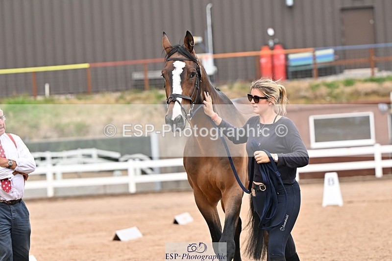 250716-161923-02561 - Trot Up 3.30 to 4.30