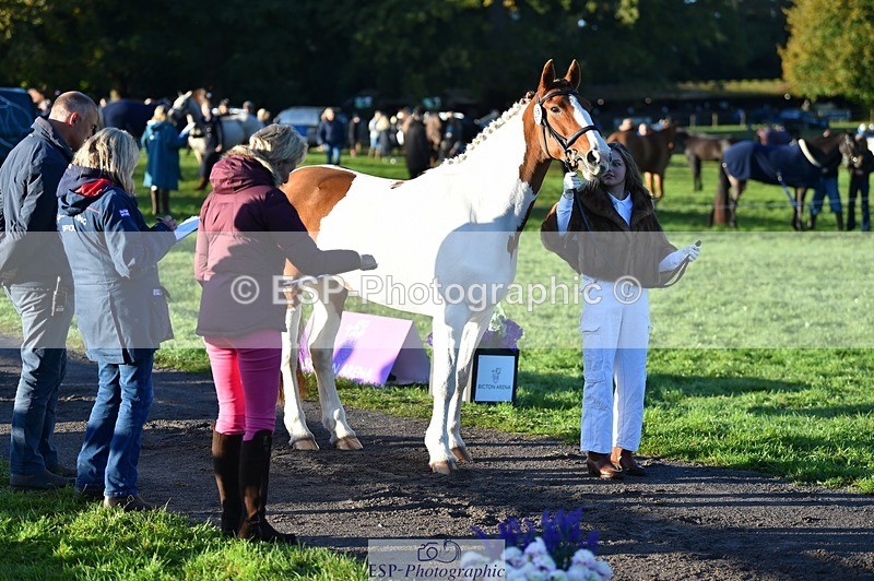 231022-085946-21495 - 638-I.FOUND.NEMO-Jacky.Jones-TrotUp+SJ