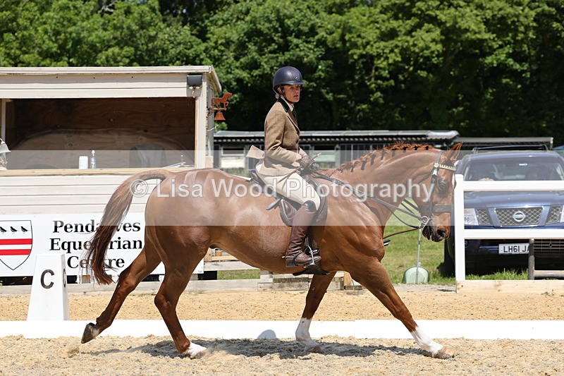 1X9A1853 - Class 12: Ridden Riding Horse/Hack