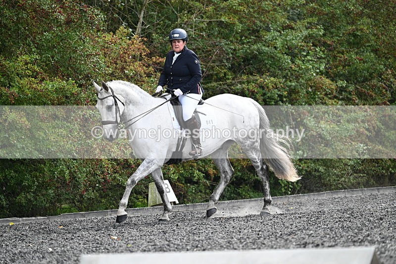 WJ7_6270 - Time 14:10 to 14:45