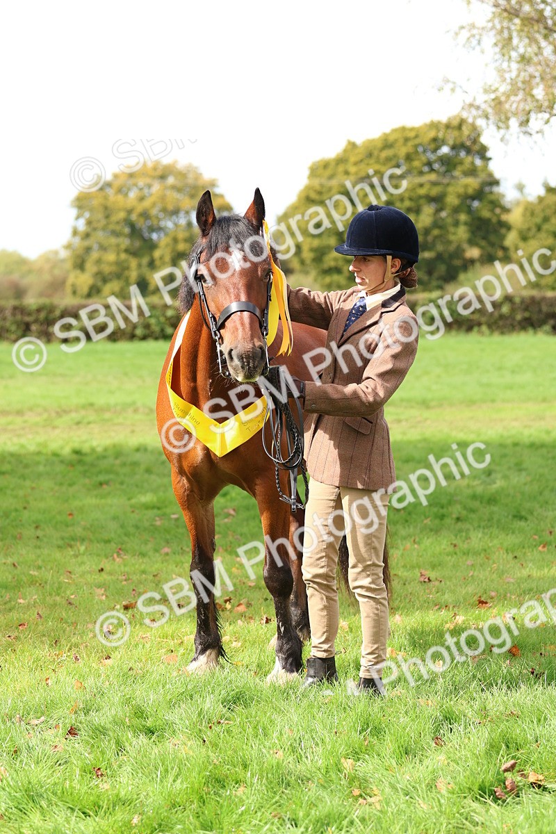 SBM_40786 - S25 -  Veteran In Hand