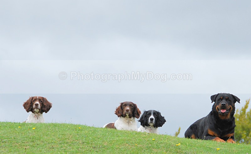  - Group Shots