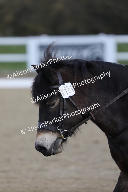 20260314-0229 - DR1 - Intro 1