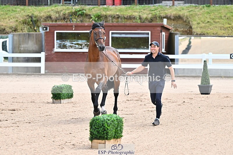 240718A-105236-00881 - Trot Up 11am to 12pm