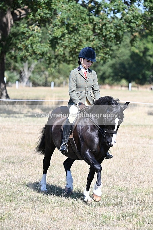 WJ7_3676 - Class 9 Mountain & Moorland Ridden