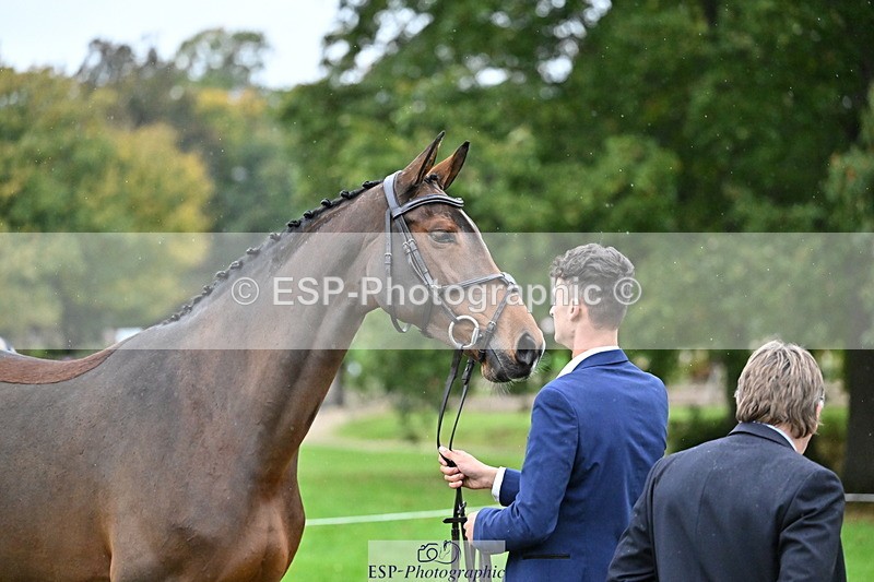 251022A-161301-00775 - A-017-Harrison.Chart