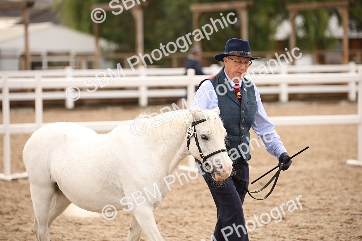 SBM_21513 - Class 706 - IH  Veteran