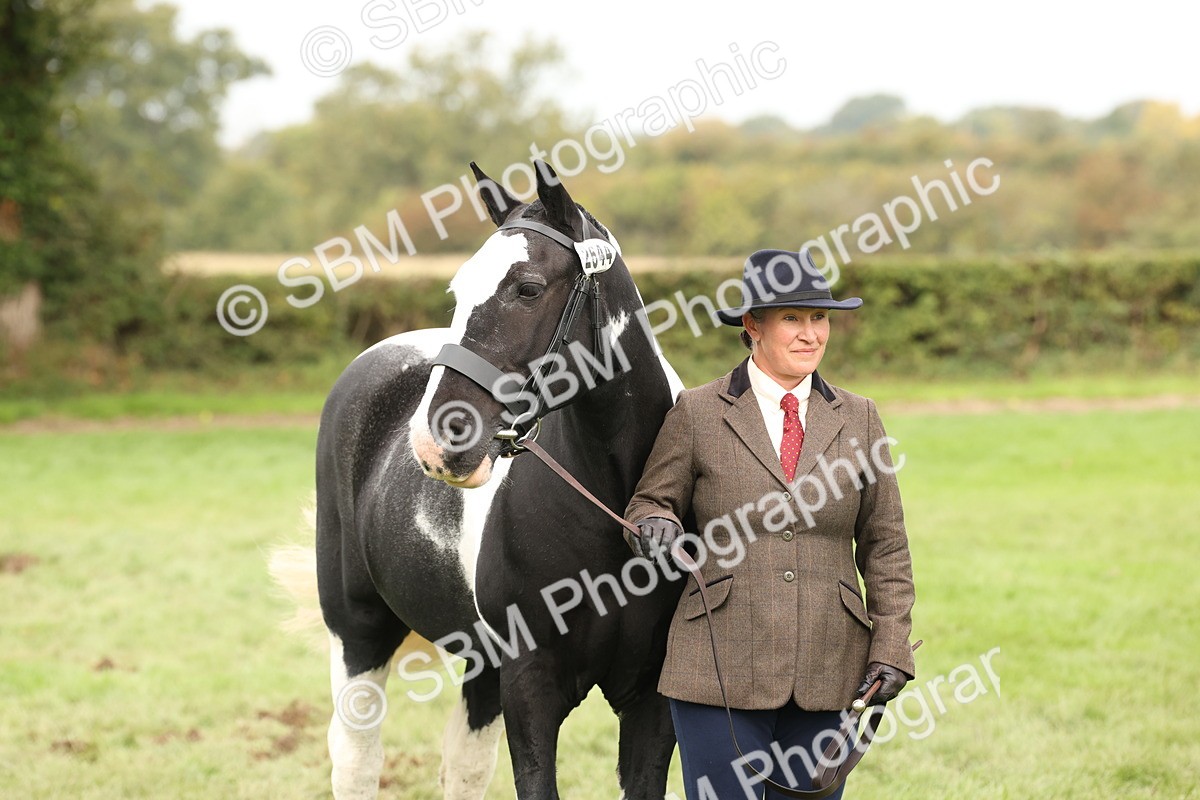 SBM_57526 - S56 - Show Cob in Hand