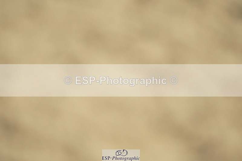 230806A-101258-00969 - Cls 12 Snr 1.05m
