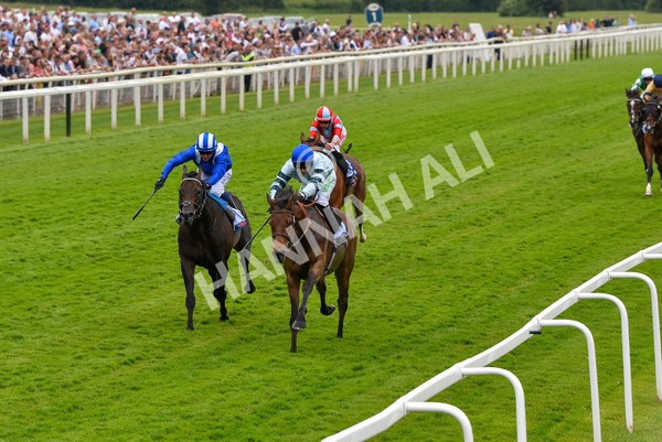 170623-Race 3-Quickthorn-7041 - Race 3 3.05pm Sky Bet Race To The Ebor Grand Cup Stakes