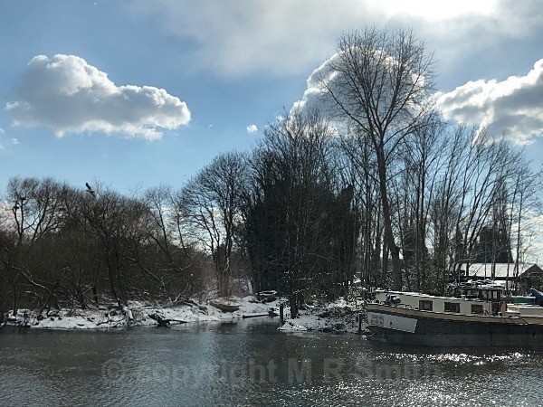 View Across The Thames From Watermans Arts Centre, Brentford, W London - LANDSCAPES & TREES
