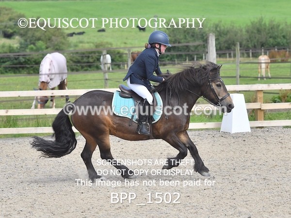 BPP_1502 - DERBY CLASS 3 - 40CM