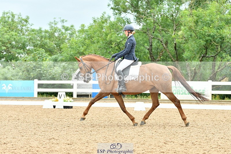 230701A-103107-04776 - Cls 4 Novice 23