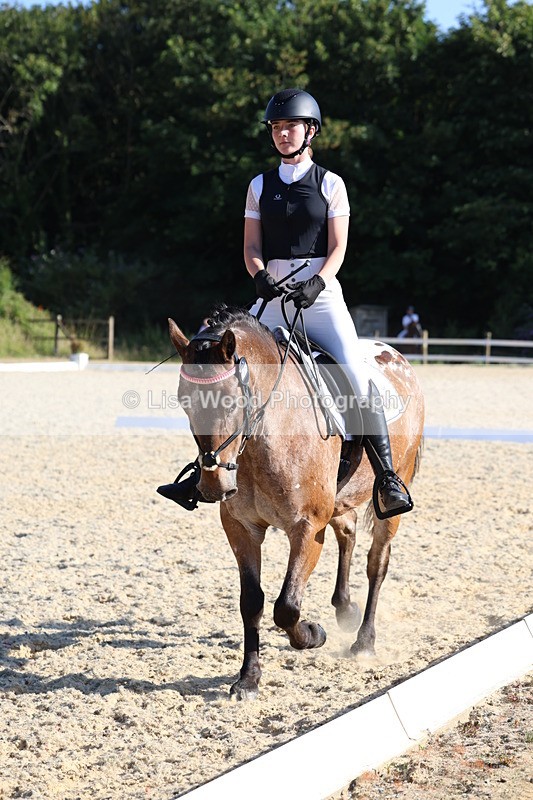 3E7A3623 - Class 2: Intro 1 2024 Section B