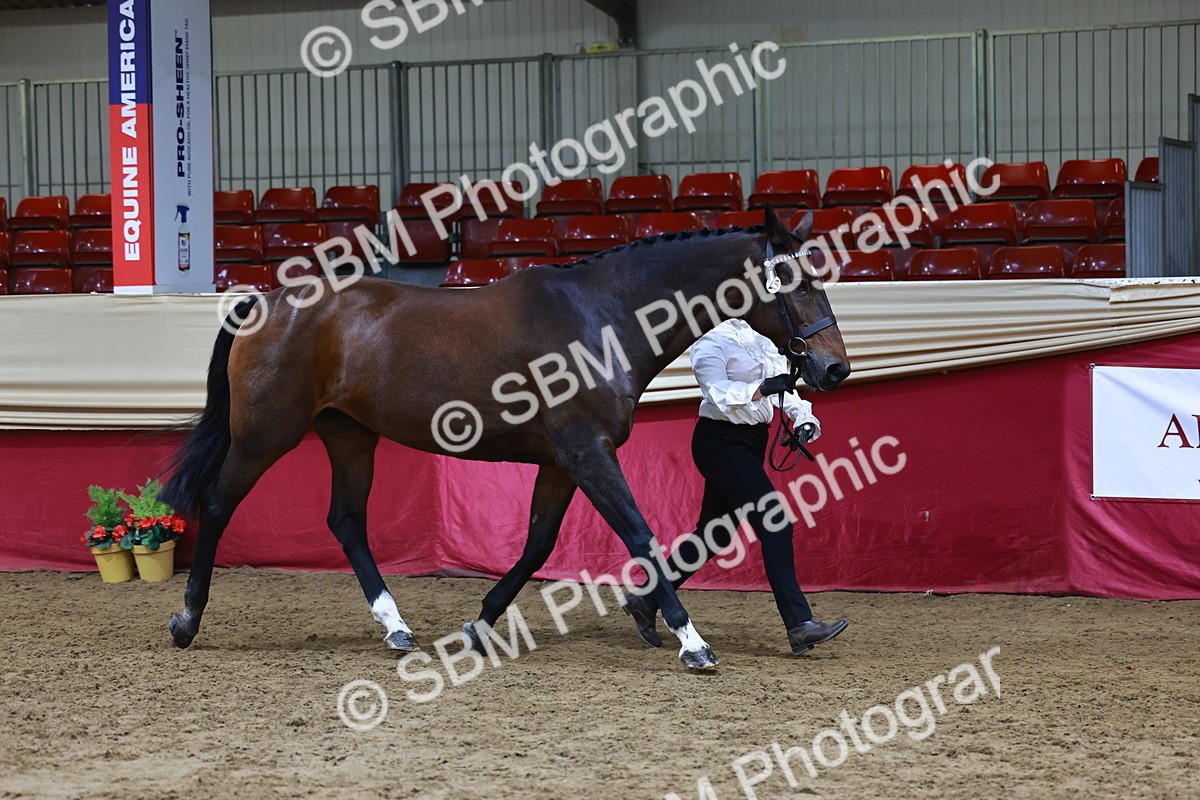 SBM_23039 - Supreme Final - IH  Champ