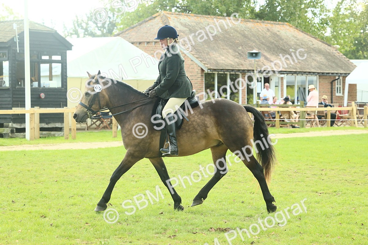 SBM_62632 - S63 - Other Coloured Horse Ridden