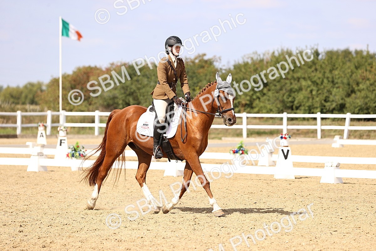 SBM_014979 - Class 6 - Elementary 5