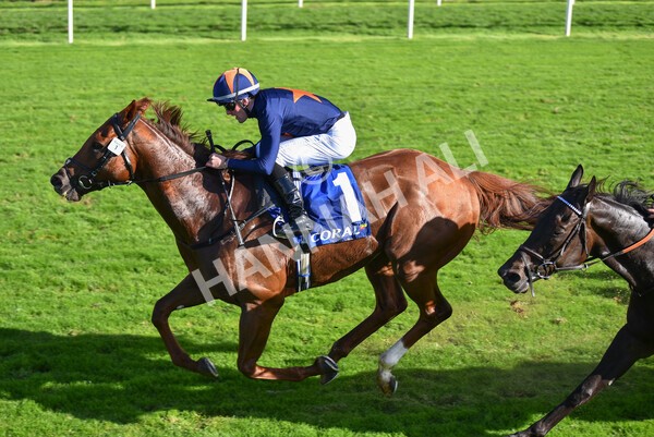 yr08102022r3-48 - Race 3 2.40pm The Coral 'Beaten-by-a-Length' Free Bet Handicap