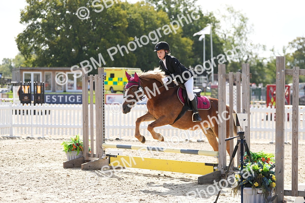 SBM_17992 - J58 - Clear Round 50cm