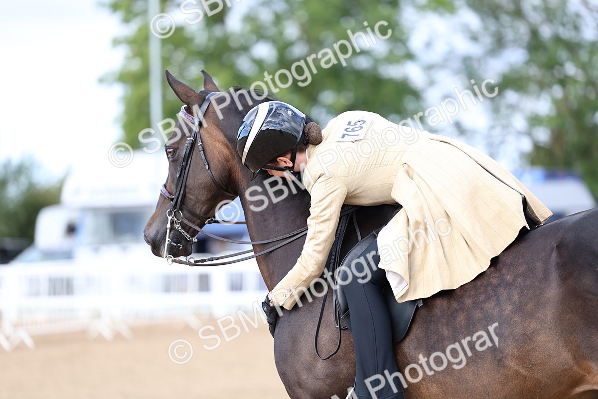 SBM_09172 - Class 303 - Ridden Pure Bred Horse Pony