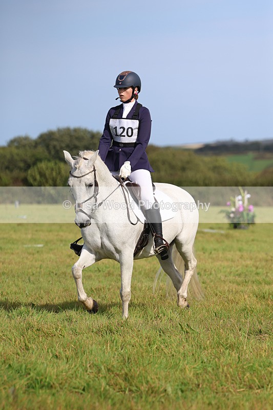 3E7A6229 - Class 1: Trebudannon Open: Dressage (Part 2)
