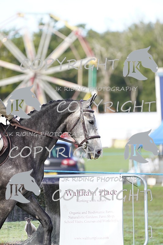 _DSC9330 - Class 8 & 17 Ridden Hunter & Ridden Hunter Pony
