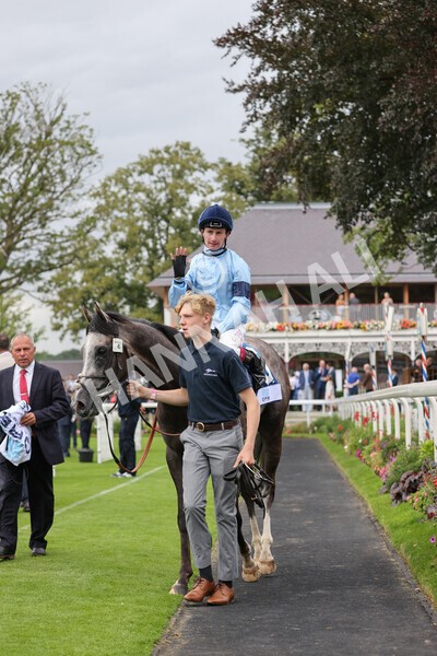 yr19082021r5-41 - Race 5 4.10pm OR8wellness ebfstallions Nursery Handicap