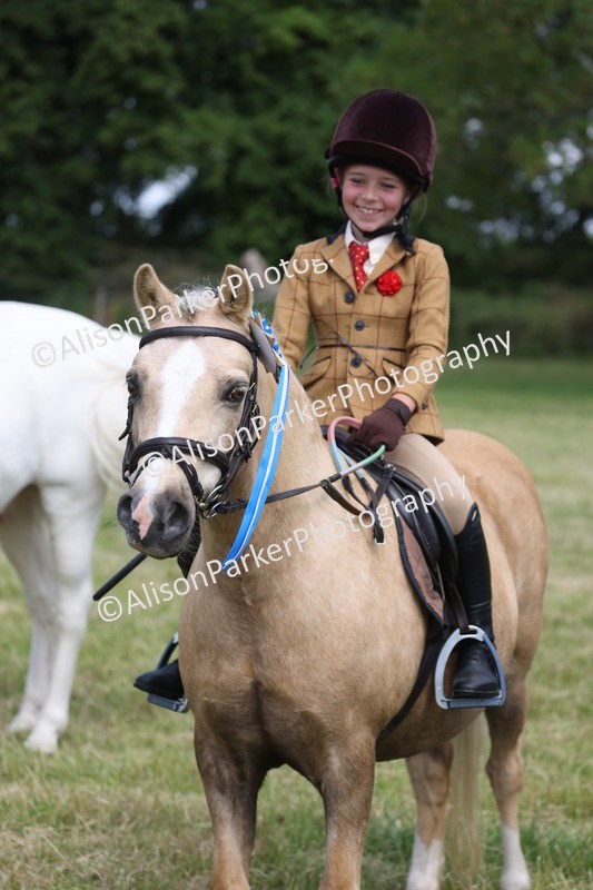 20260614-0816 - Class 20 - Beginners Working Hunter Pony