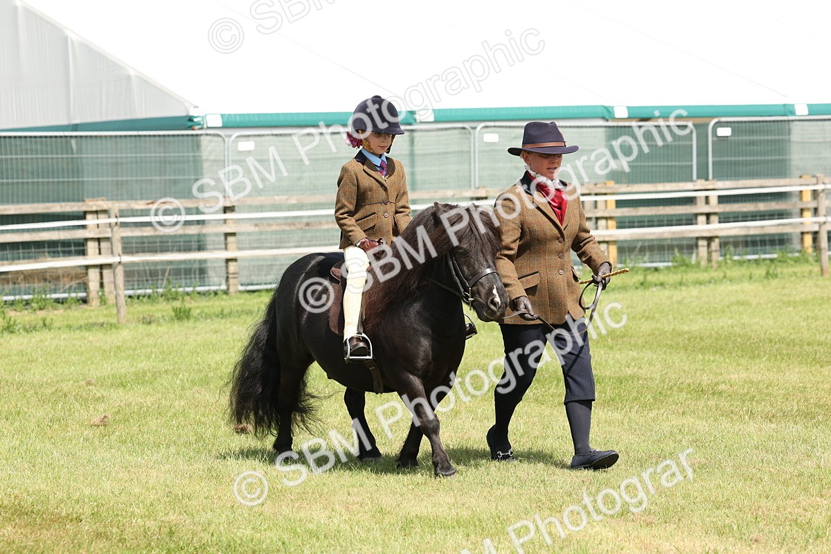 SBM_05247 - Class 24-25 - Mountain & Moorland In Hand Lead Rein and First Ridden