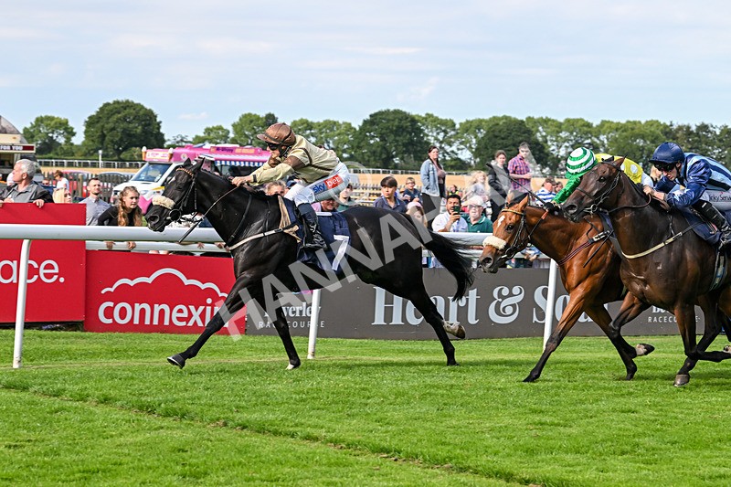 290725-Race 6-Jojo Rabbit-1019 - Race 6