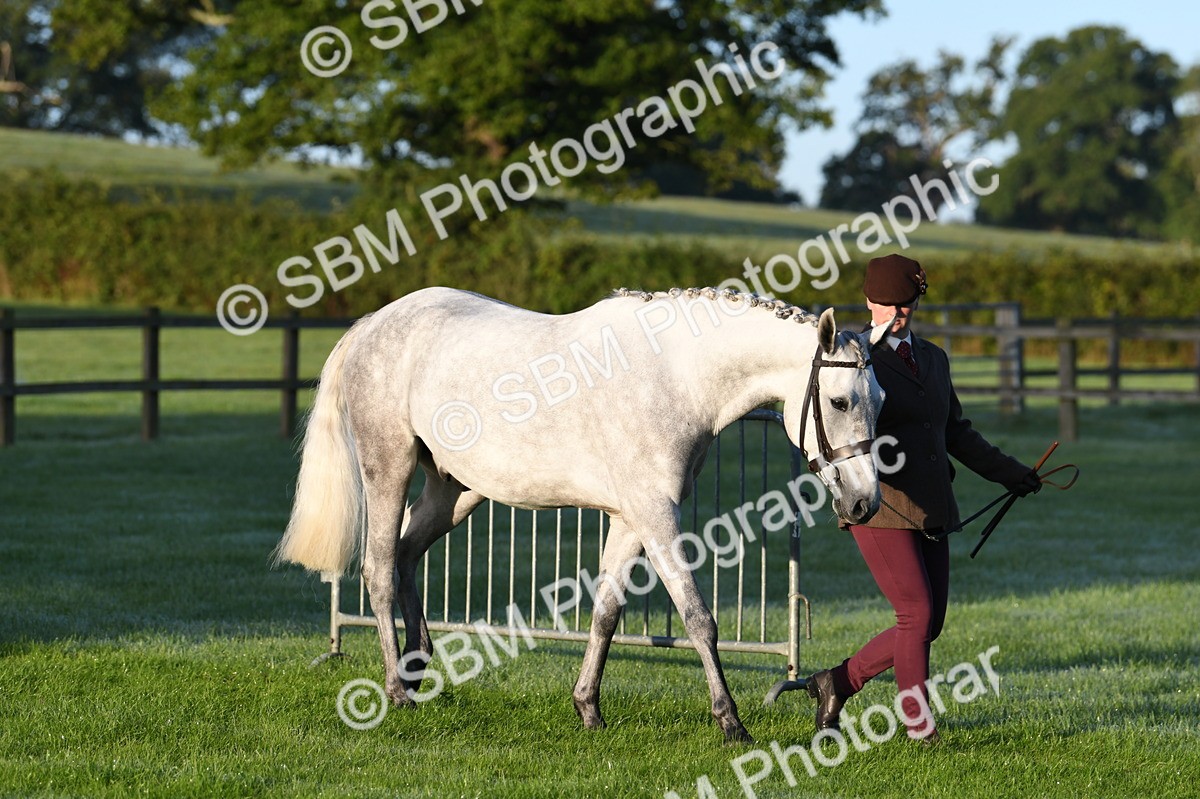 SBM_32454 - S15 - Condition & Turnout In Hand