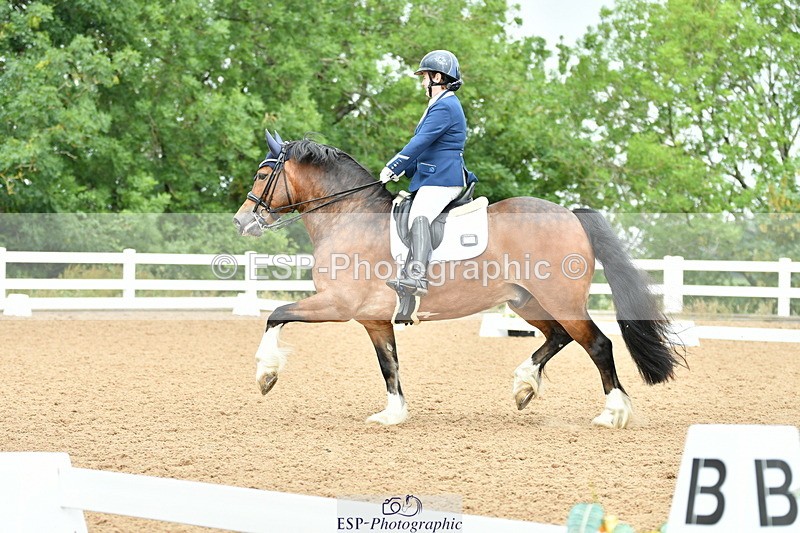 230701A-111814-04913 - Cls 9 Music Elementary