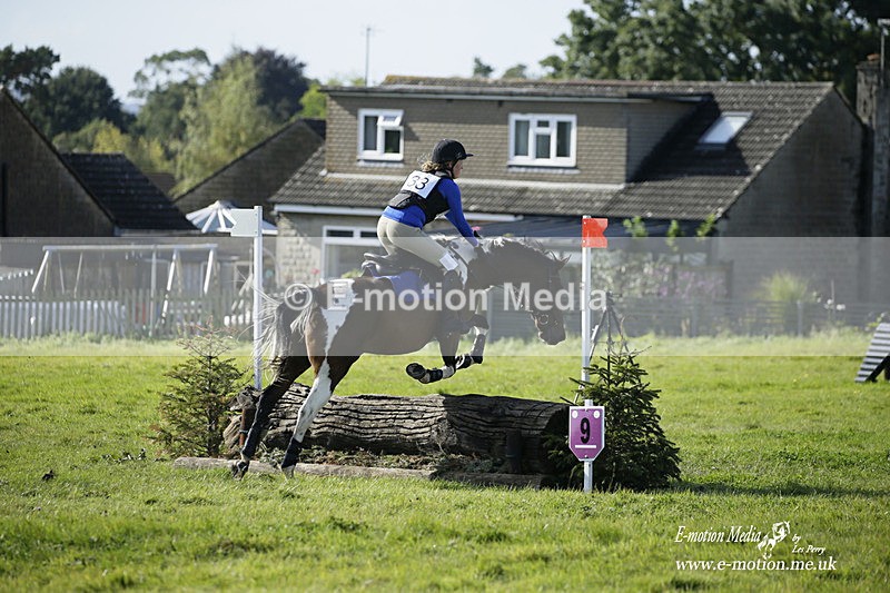  WWHT 031021 1437 - Open Novice (0.80m) 03/10/21