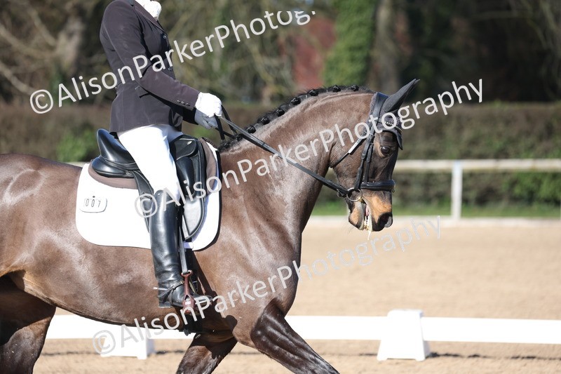 20260214-0405 - Class 4 - Novice 2