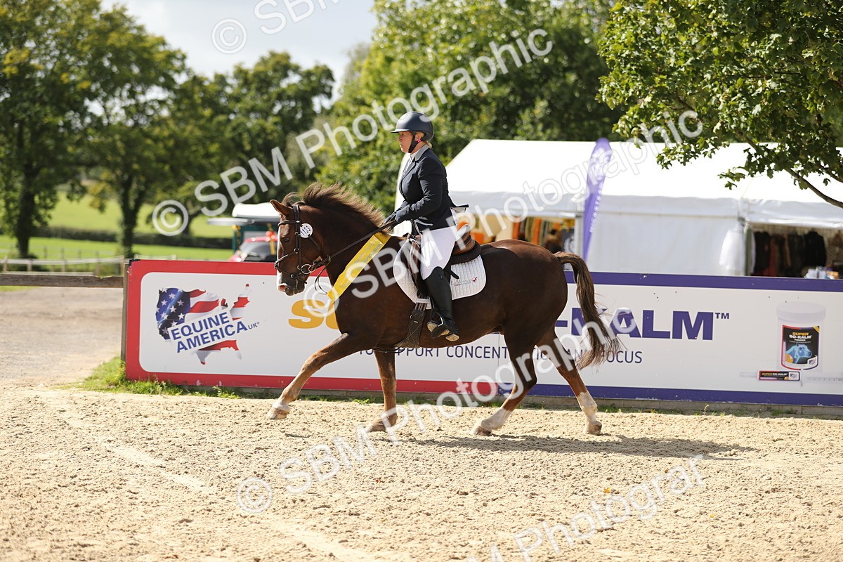 SBM_05846 - J35 - Veteran Rider 60cm