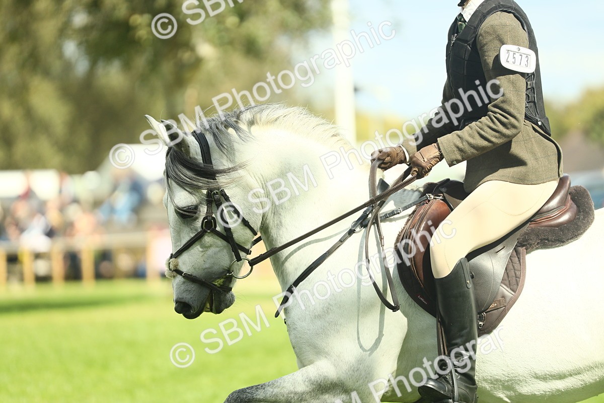 SBM_42956 - S30 - M&M Working hunter Pony