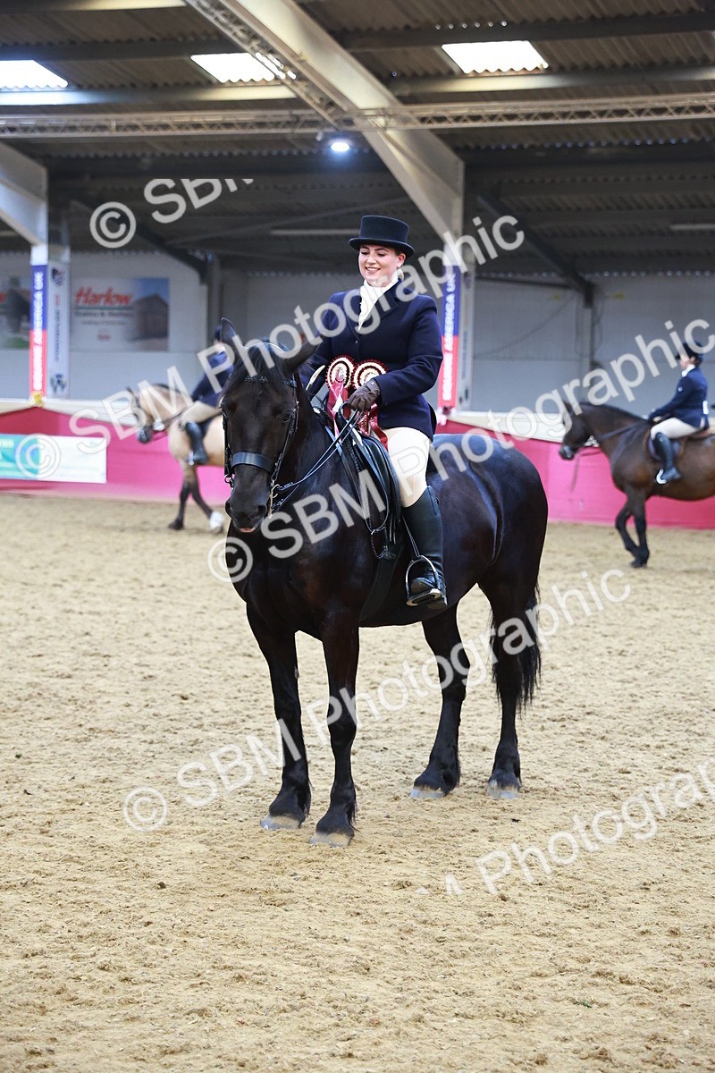 SBM_17900 - Class 952 - M&M Ridden Supreme Final