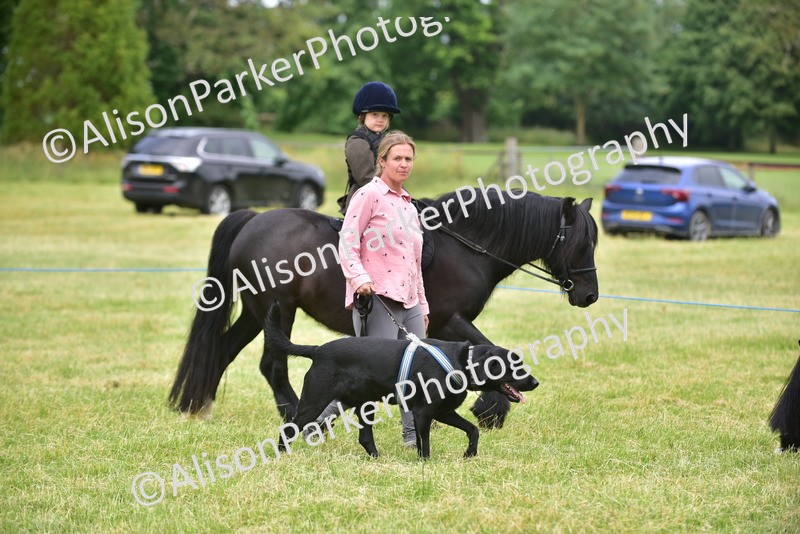 20260614-4516 - Class 19 - Cutest Pony, Rider and Dog Combination