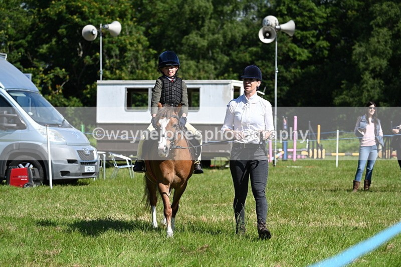 WJ7_0732 - Class 8 First Rally Pony