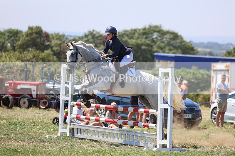 3E7A4404 - Class 10: Senior British Novice/90cm open
