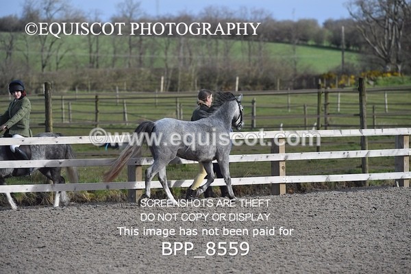 BPP_8559 - RING 2 - M&M