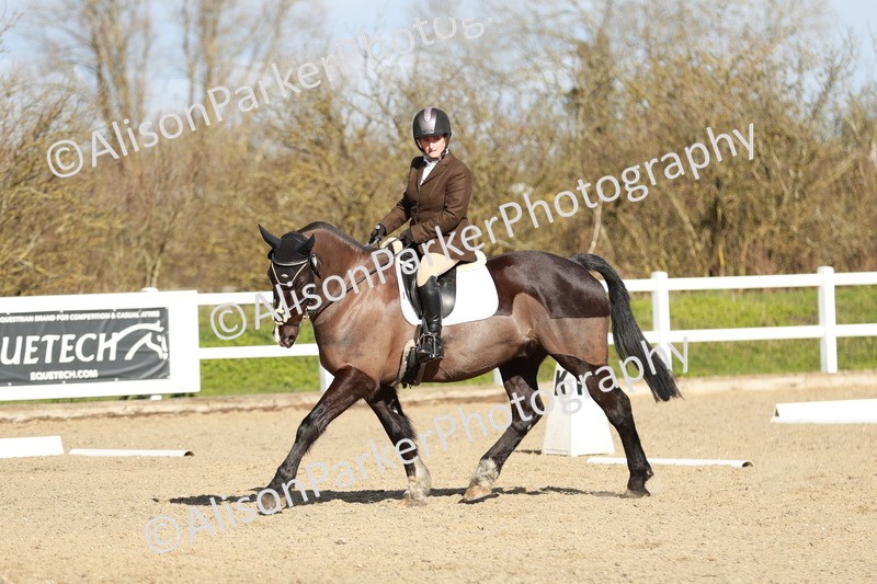 20260314-4454 - DR4 - Prelim 2