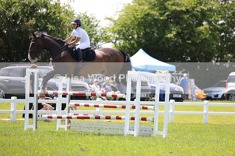 3E7A1316 - Class 12: Senior Foxhunter/1.20 open