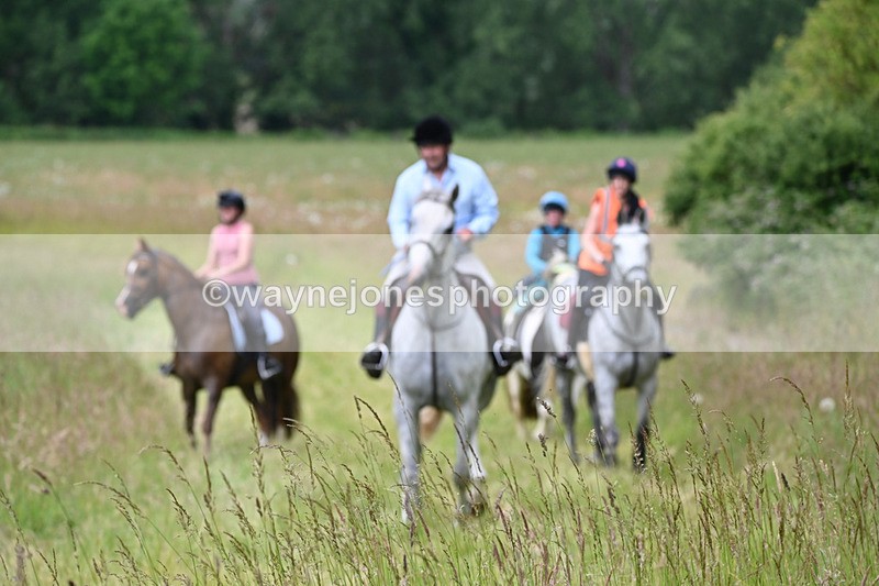 WJ6_8090 - Camera 1 Gallops