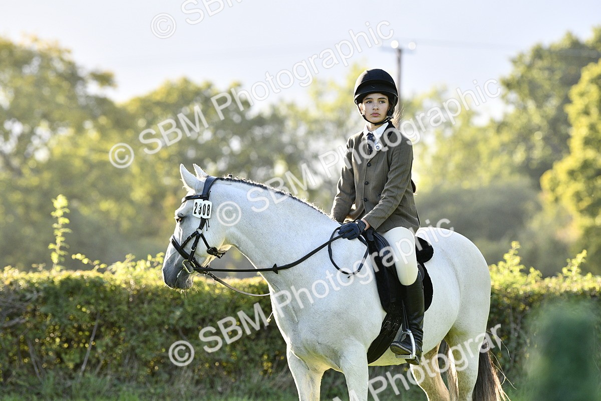 SBM_53563 - S14 - Riding Club Horse